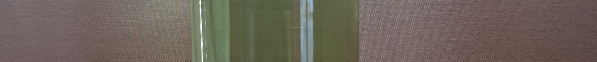 Liqueur Angélique Cognac